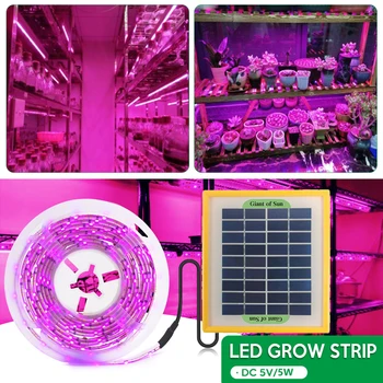 Solar LED crece la Tira de la Luz de Espectro Completo Phytolamp 5V SMD 2835 el Crecimiento de la Planta de Luz Para las Plantas de Semilla de Flor de Invernadero Hidropónico
