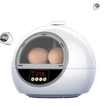 6 Huevos De Pollo Aves Incubadora De Huevos Para Incubar De La Máquina Automática De Control Inteligente De La Temperatura De Codorniz Parrot Clueca Granja Sua