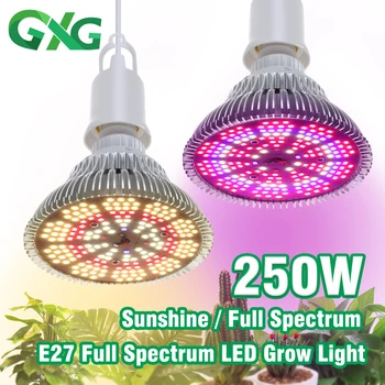 85-265V E27 LED Crecen la Luz de la Bombilla de 250W Espectro Completo de Sol de la Planta de Luz Con Interruptor de Temporización del Alambre de/trípode Phytolamp para las Plantas de la Tienda